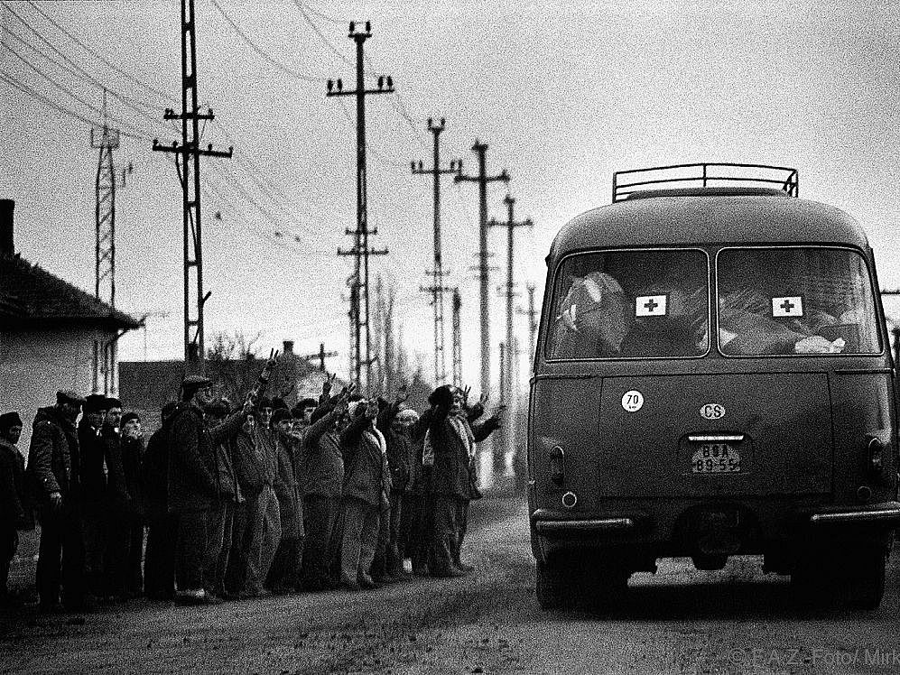 Bild öffnet sich bei Klick vergrößert