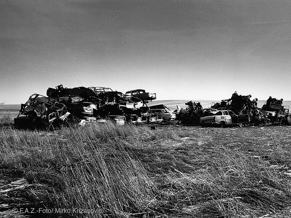 Bild öffnet sich bei Klick vergrößert