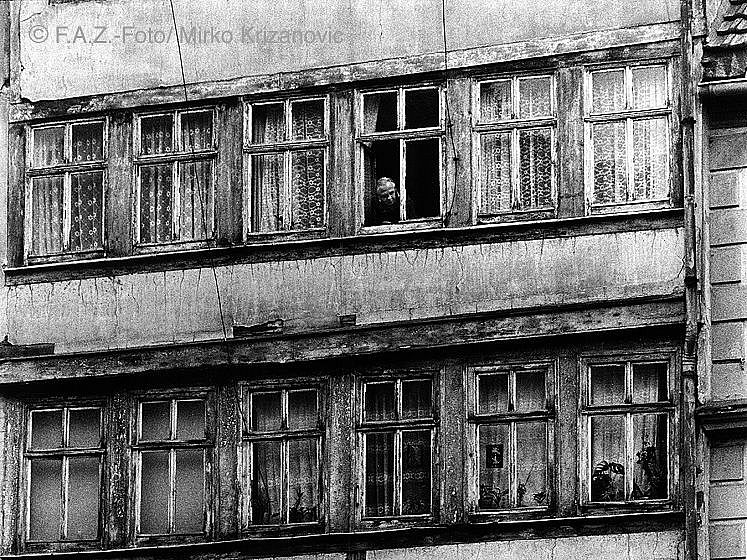 Bild öffnet sich bei Klick vergrößert