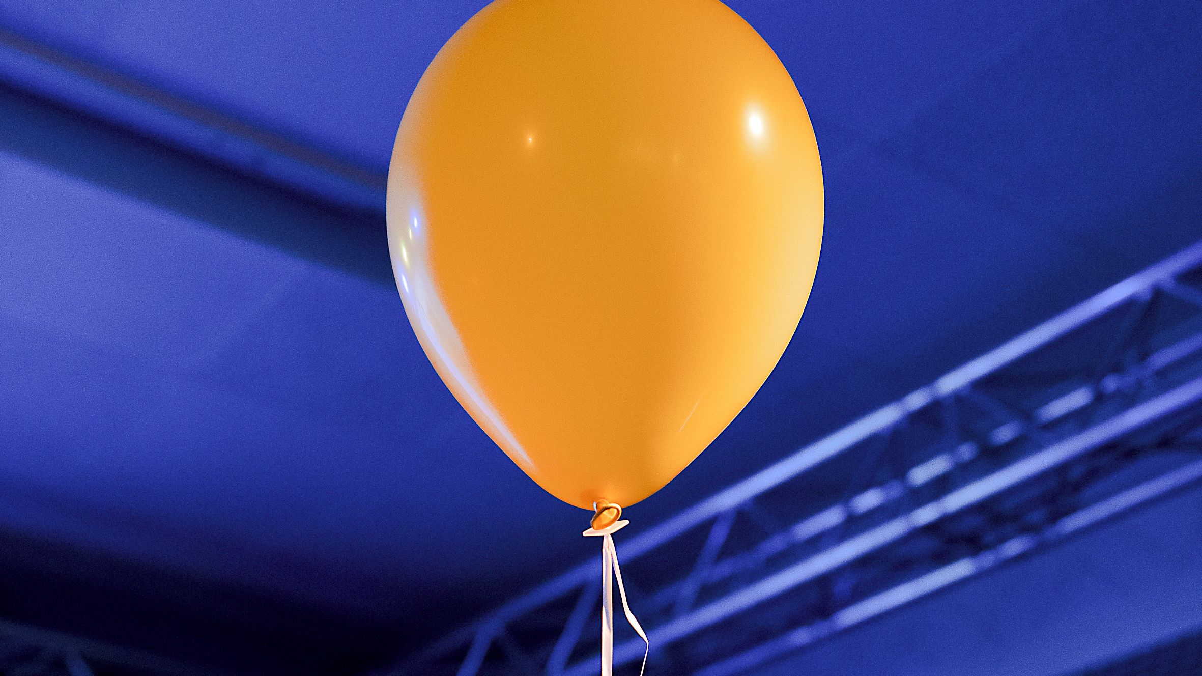 Chemnitz, Landeszentrale für politische Bildung, Lesung, Sachsen, Stefanie Wally