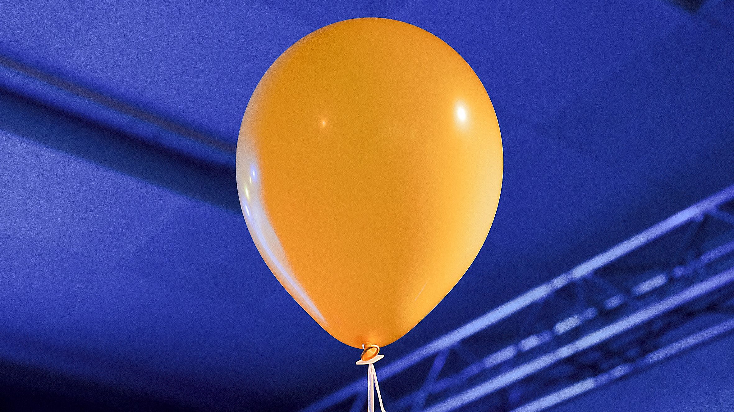 Chemnitz, Landeszentrale für politische Bildung, Lesung, Sachsen, Stefanie Wally