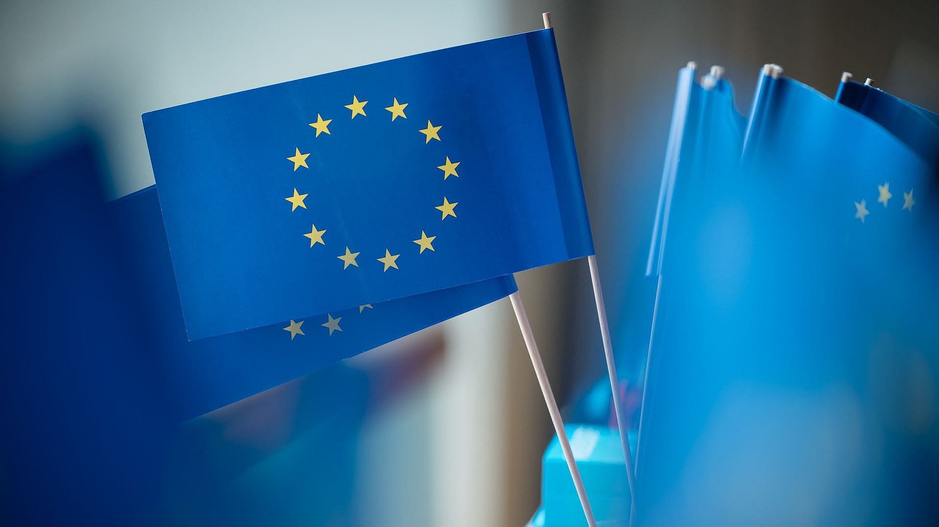 Kleine Flaggen der EU stehen in einem Glas.