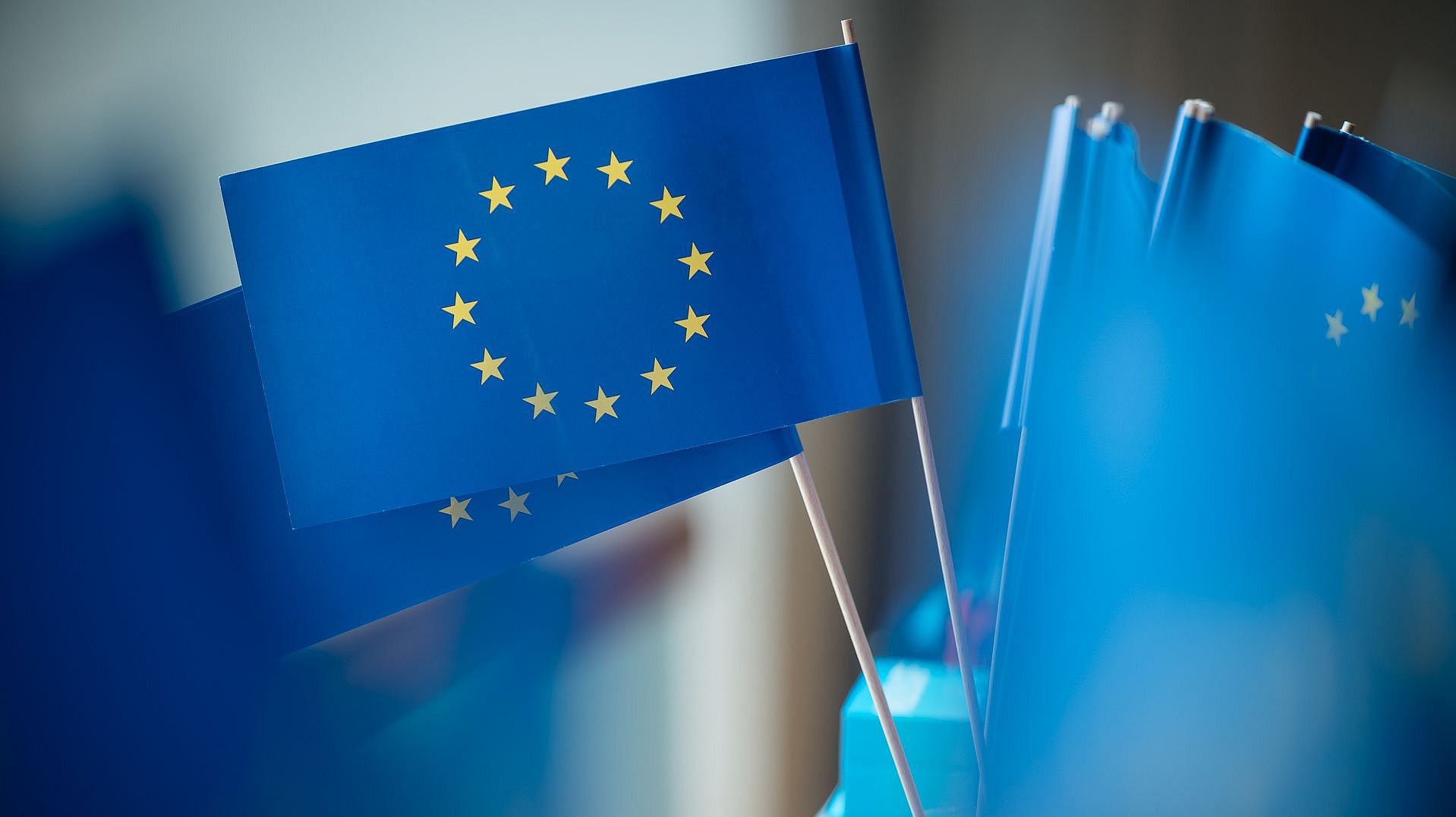 Kleine Flaggen der EU stehen in einem Glas.