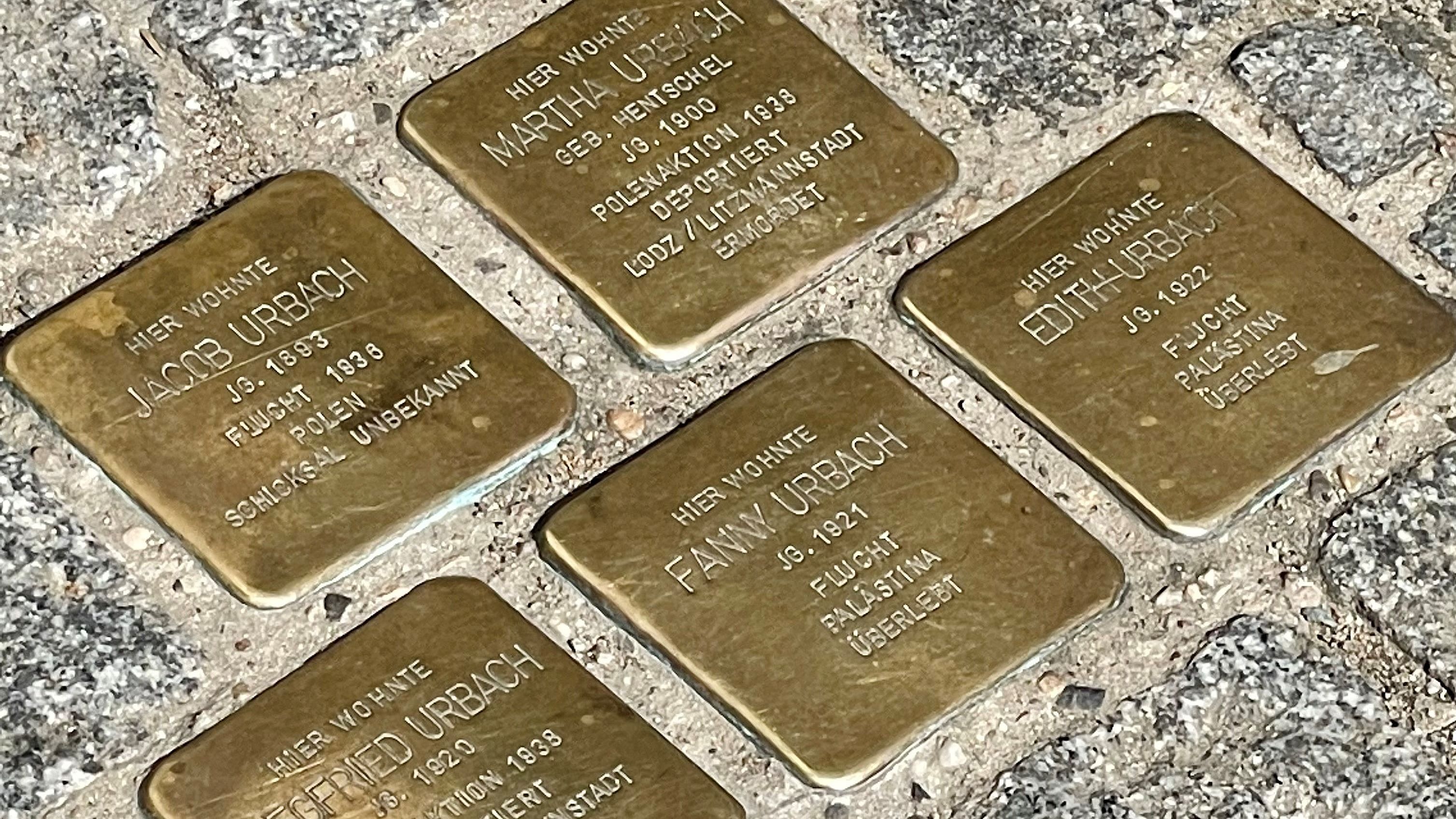 Fünf goldene Stolpersteine zwischen Pflastersteinen.