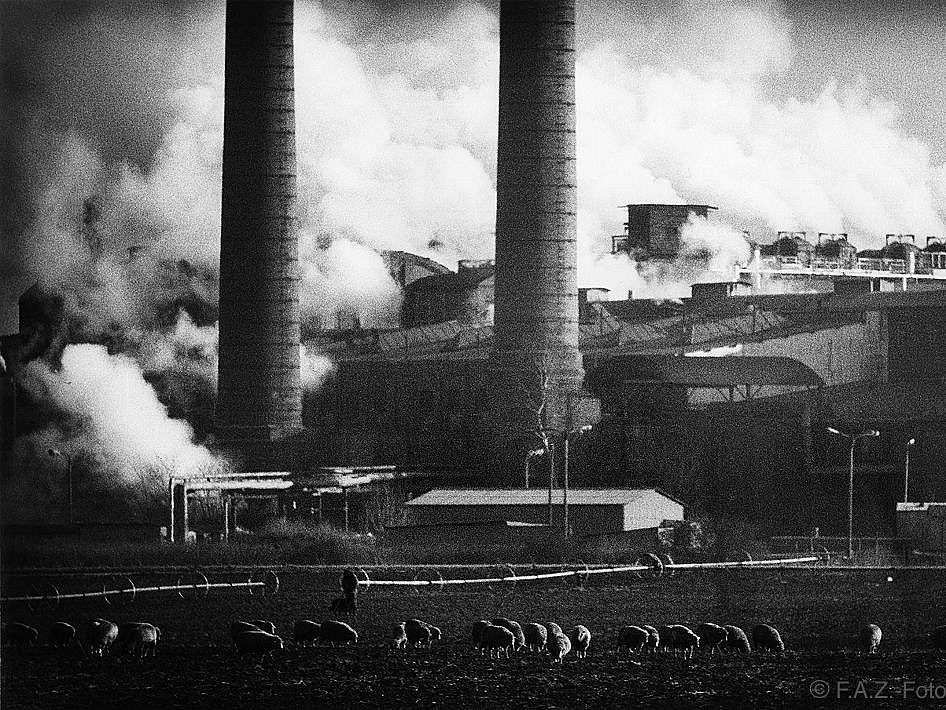 Bild öffnet sich bei Klick vergrößert