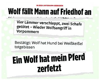 2019-11-26wolf-in-medienwtf11iso-fin