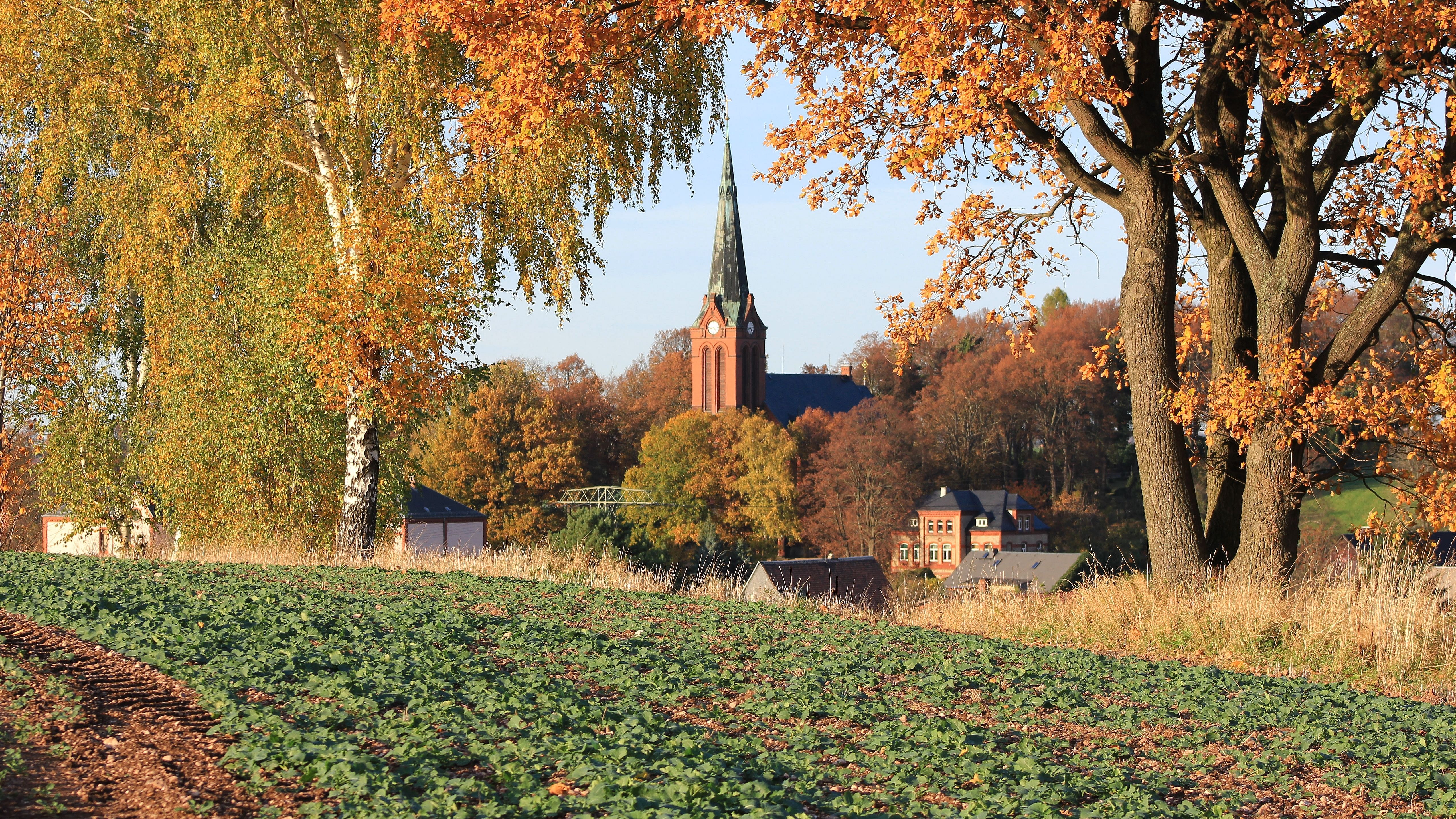 Goldener Herbst In Sachsen. 01 Verlinkung zu Demografie und ländlicher Raum